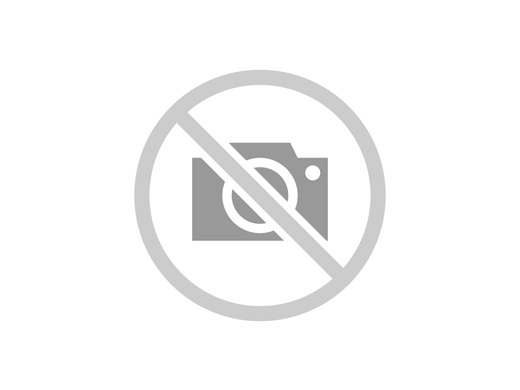 Trattori agricoli usati in vendita